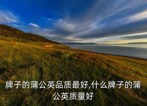 牌子的蒲公英品质最好,什么牌子的蒲公英质量好