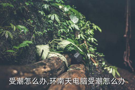 电脑受潮怎么办,环南天电脑受潮怎么办