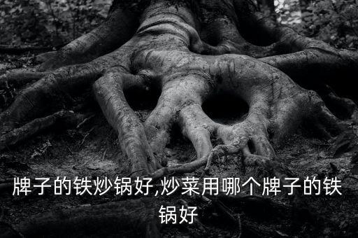 牌子的铁炒锅好,炒菜用哪个牌子的铁锅好