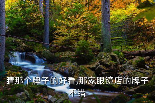 配眼睛那个牌子的好看,那家眼镜店的牌子不错