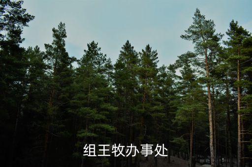 组王牧办事处