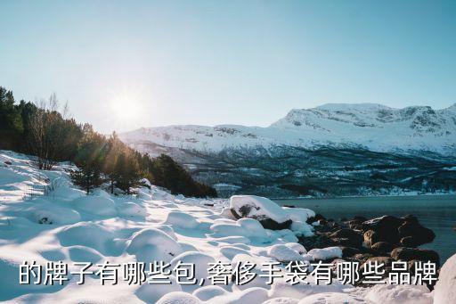 的牌子有哪些包,奢侈手袋有哪些品牌