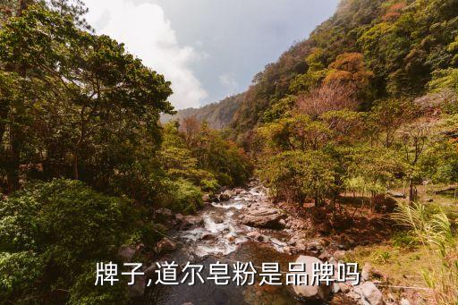 皂粉牌子,道尔皂粉是品牌吗?