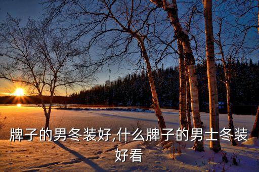 牌子的男冬装好,什么牌子的男士冬装好看