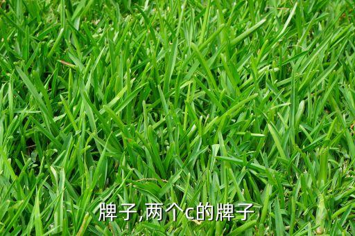 c的牌子,两个c的牌子