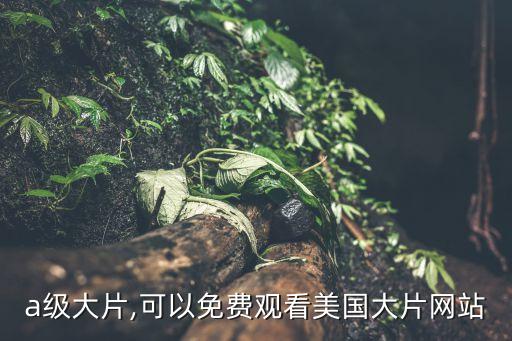 a级大片,可以免费观看美国大片网站