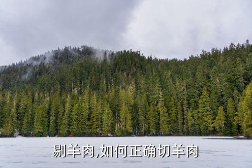 怎么剔羊肉,如何正确切羊肉