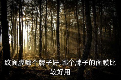 纹面膜哪个牌子好,哪个牌子的面膜比较好用