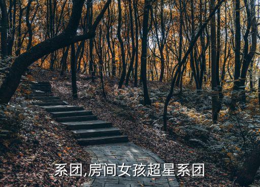 超星系团,房间女孩超星系团