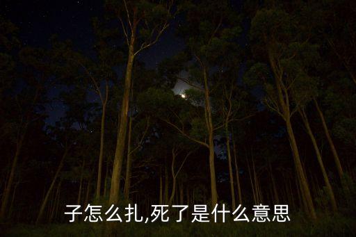 翘辫子怎么扎,死了是什么意思?