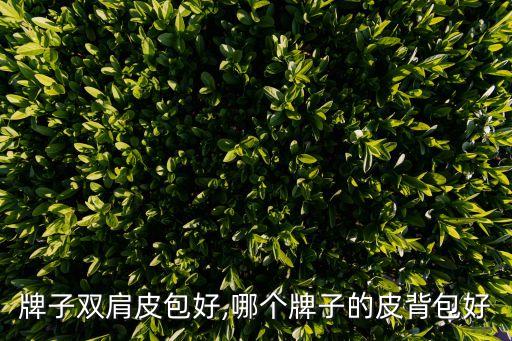 什么牌子双肩皮包好,哪个牌子的皮背包好?