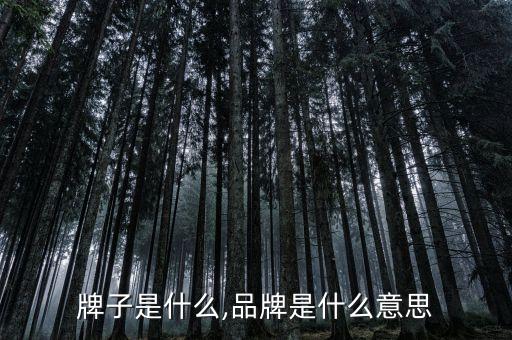 牌子是什么,品牌是什么意思