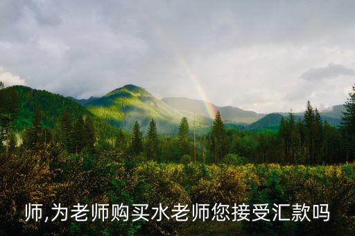 师,为老师购买水老师您接受汇款吗