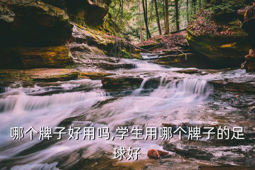 哪个牌子好用吗,学生用哪个牌子的足球好