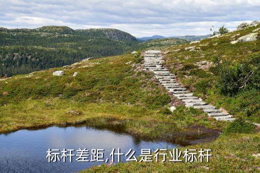 标杆差距,什么是行业标杆