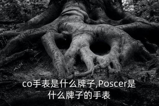 pico手表是什么牌子,Poscer是什么牌子的手表?