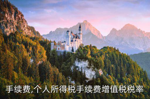 个税手续费,个人所得税手续费增值税税率