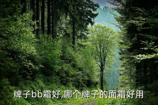 什么牌子bb霜好,哪个牌子的面霜好用?