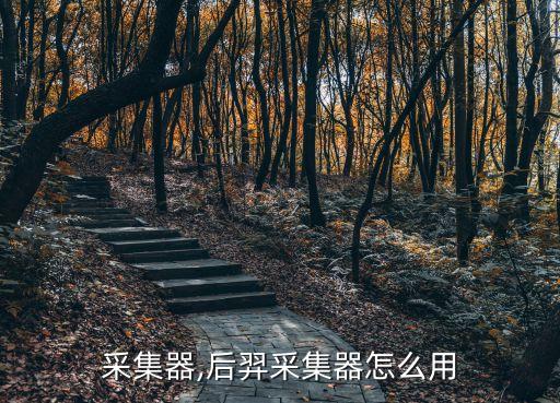 采集器,后羿采集器怎么用