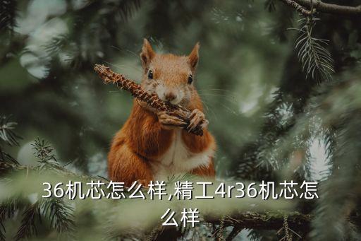 4r36机芯怎么样,精工4r36机芯怎么样