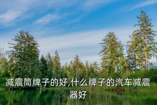 减震筒牌子的好,什么牌子的汽车减震器好