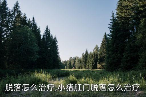 肛门脱落怎么治疗,小猪肛门脱落怎么治疗
