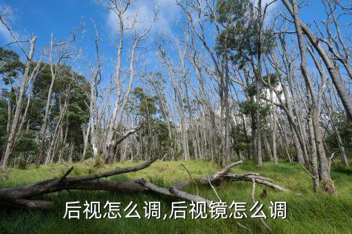 后视怎么调,后视镜怎么调