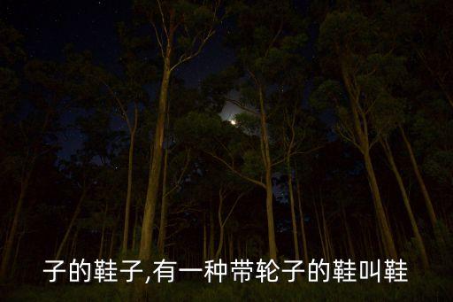子的鞋子,有一种带轮子的鞋叫鞋