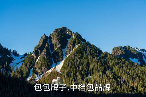 中国包包牌子,中档包品牌