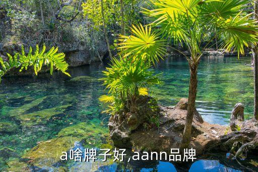 n a啥牌子好,aann品牌