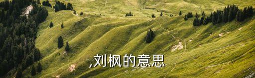 ,刘枫的意思