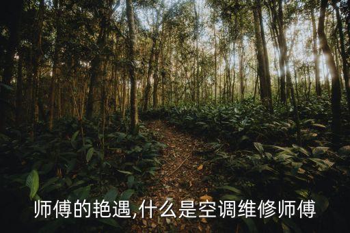 维修师傅的艳遇,什么是空调维修师傅?