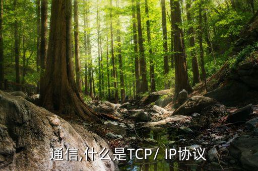 ip通信,什么是TCP/ IP协议?