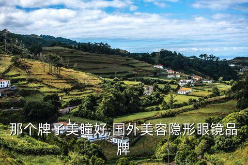 美国那个牌子美瞳好,国外美容隐形眼镜品牌