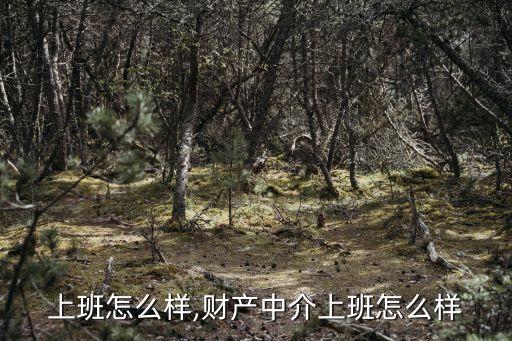中介上班怎么样,财产中介上班怎么样