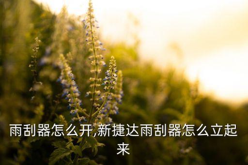 捷达雨刮器怎么开,新捷达雨刮器怎么立起来?