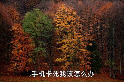 ,手机卡死我该怎么办
