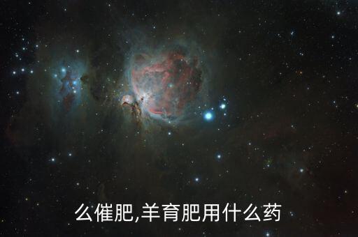 么催肥,羊育肥用什么药