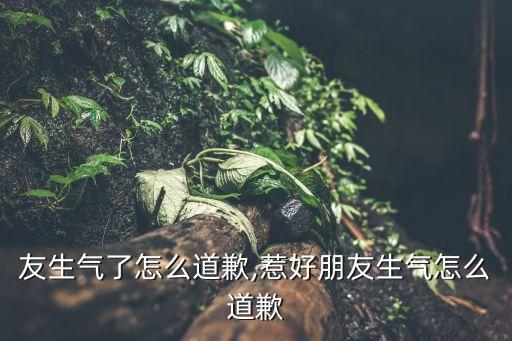 惹朋友生气了怎么道歉,惹好朋友生气怎么道歉?