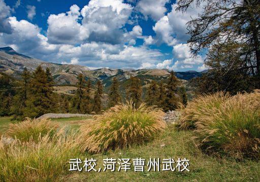 武校,菏泽曹州武校