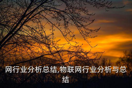 互联网行业分析总结,物联网行业分析与总结