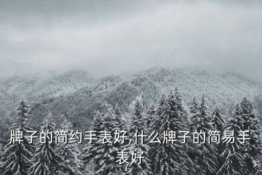 哪个牌子的简约手表好,什么牌子的简易手表好?
