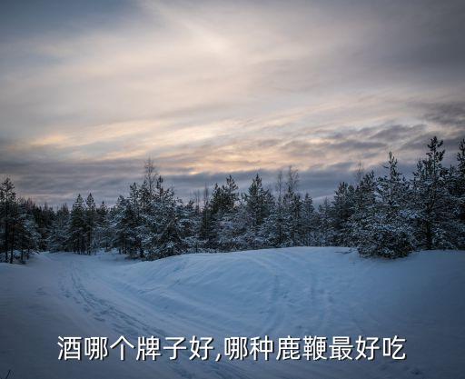酒哪个牌子好,哪种鹿鞭最好吃