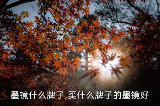 墨镜什么牌子,买什么牌子的墨镜好