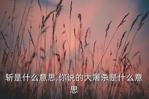 千人斩是什么意思,你说的大屠杀是什么意思?