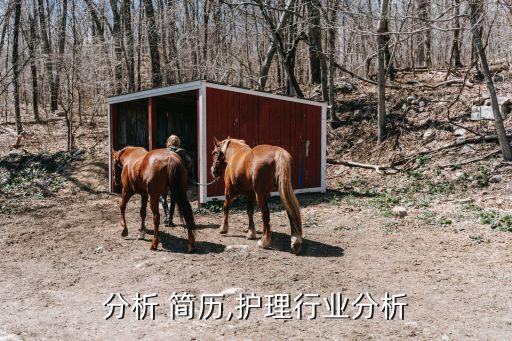 分析 简历,护理行业分析