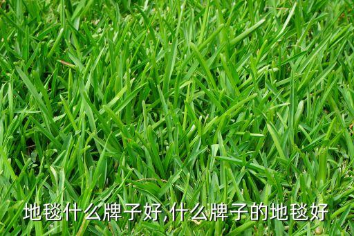 地毯什么牌子好,什么牌子的地毯好