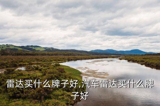 小车雷达买什么牌子好,汽车雷达买什么牌子好?