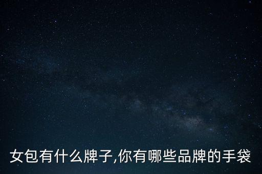 女包有什么牌子,你有哪些品牌的手袋