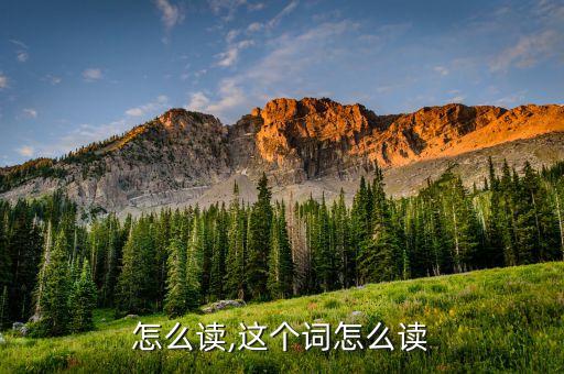怎么读,这个词怎么读